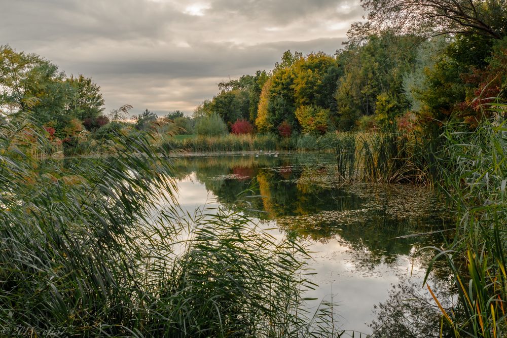 Herbststimmung 2