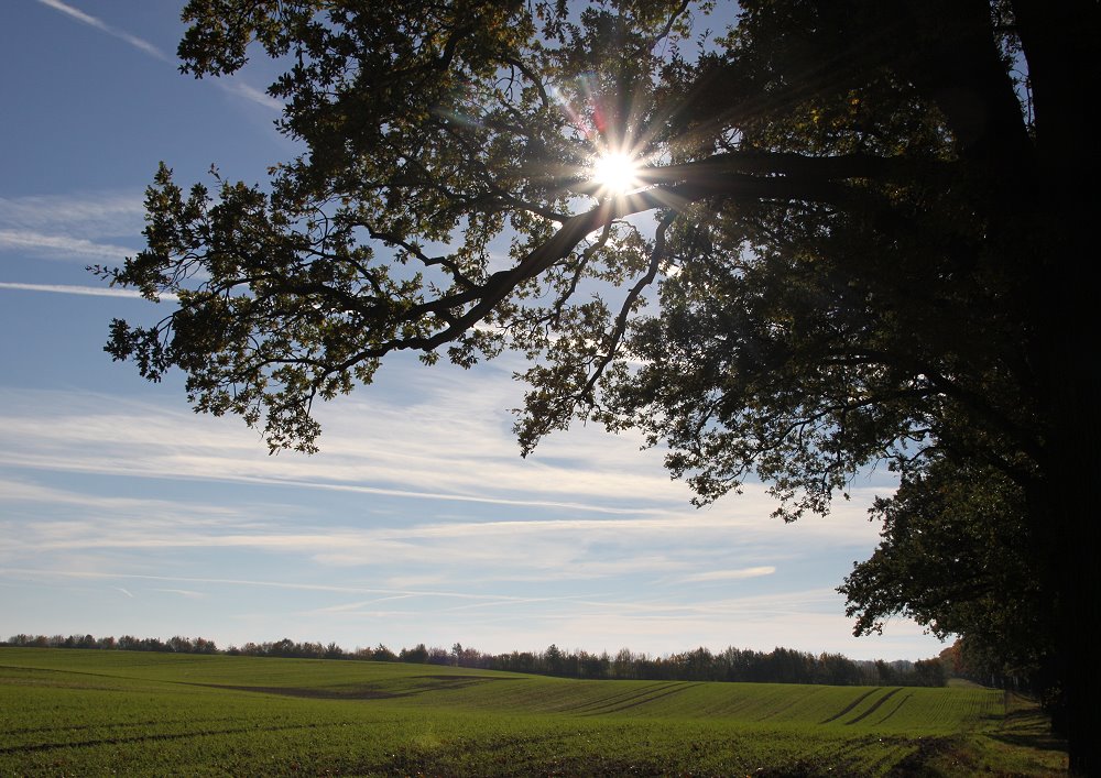 Herbststimmung 2