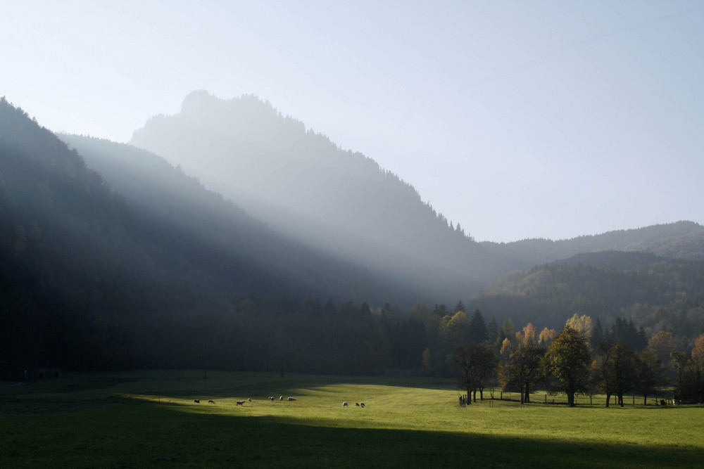 Herbststimmung 2