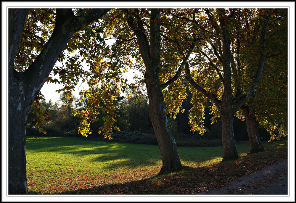 Herbststimmung 2