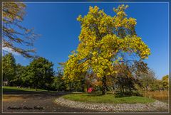 Herbststimmung 2