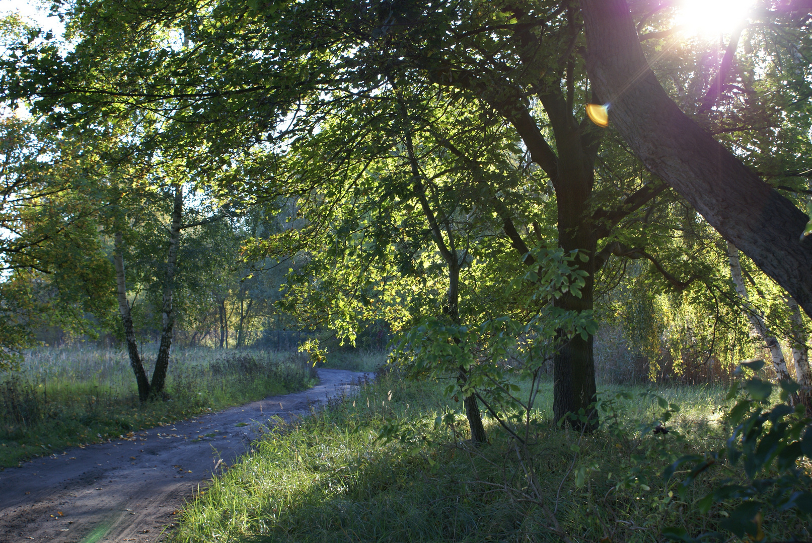 Herbststimmung 2