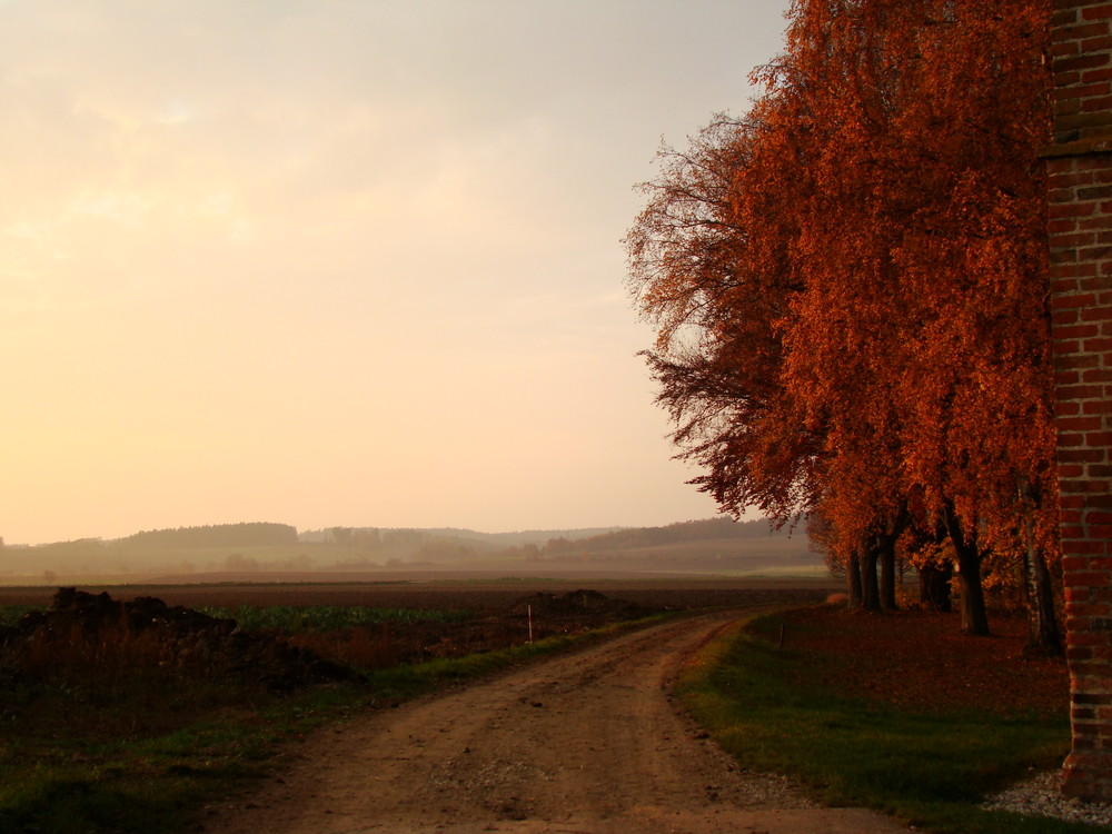 Herbststimmung 2