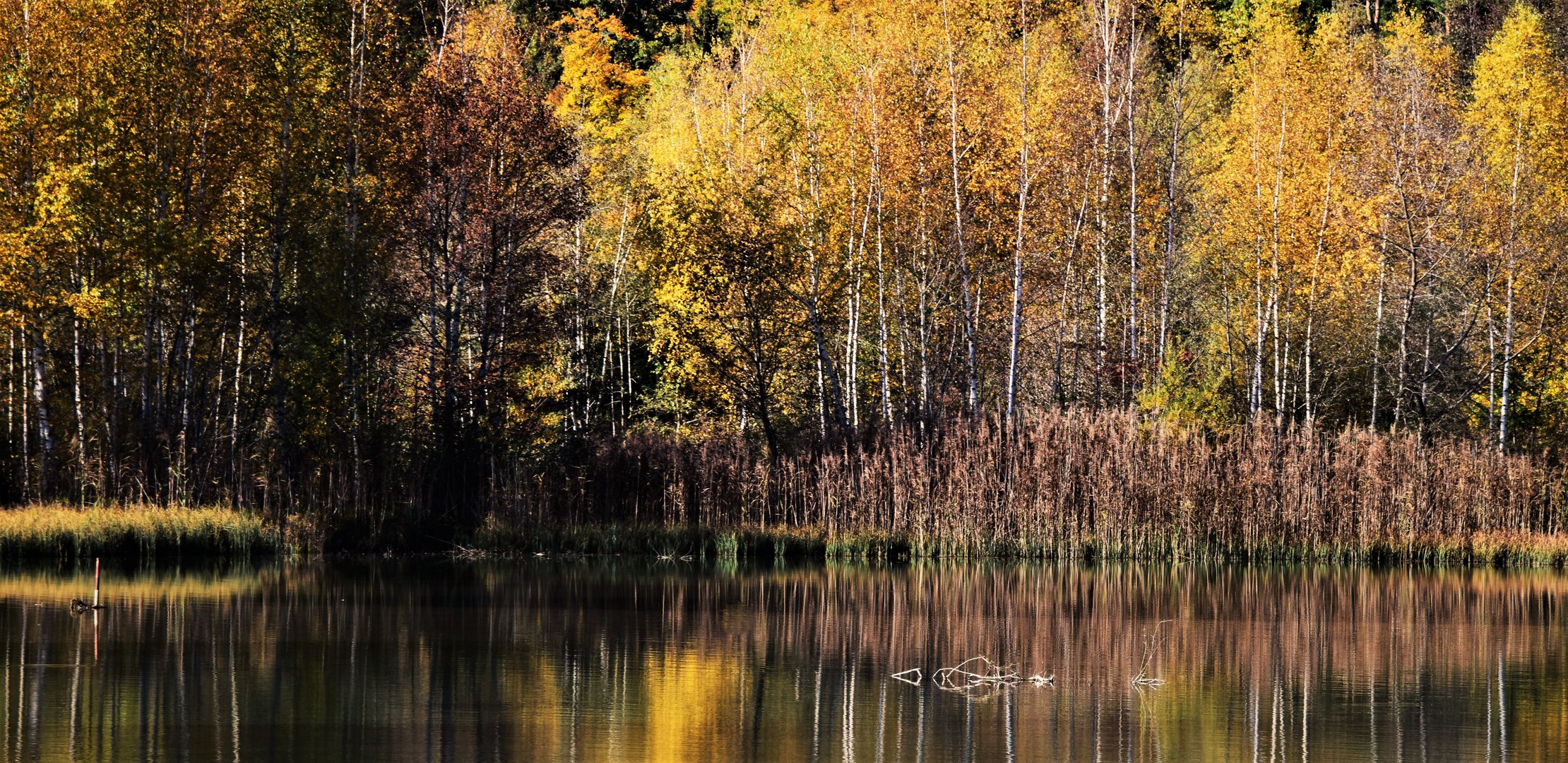 Herbststimmung 2