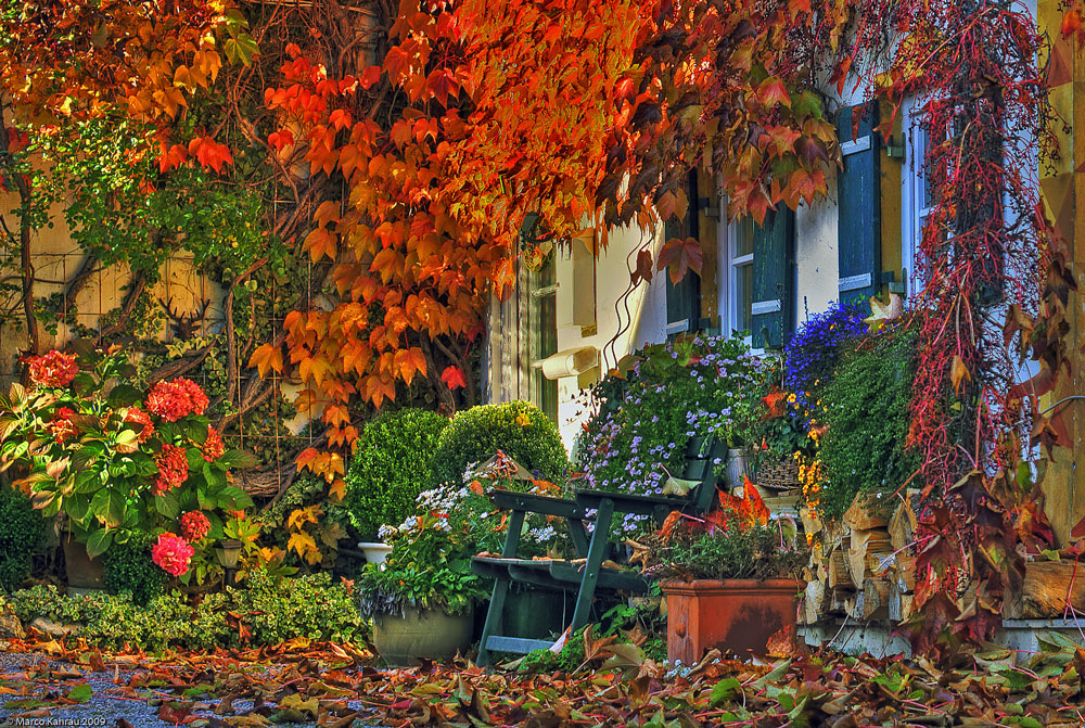 Herbststimmung 2 (reloaded)