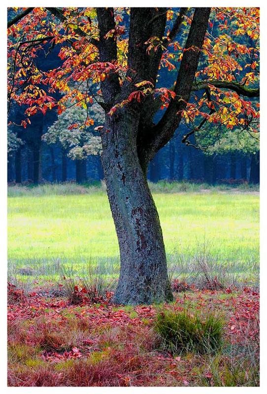 Herbststimmung 2005