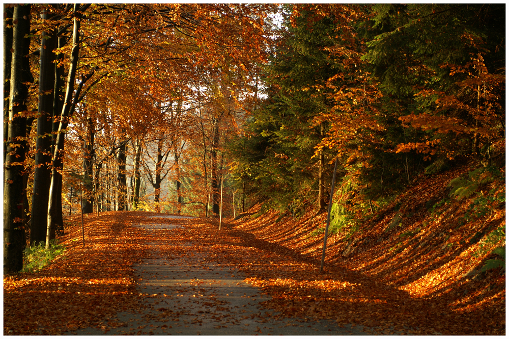 Herbststimmung 2007