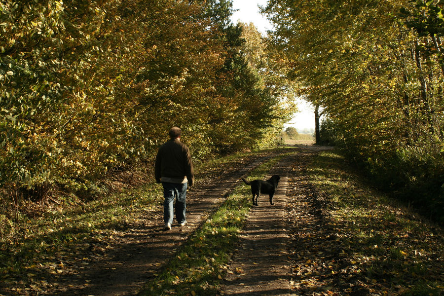 Herbststimmung 2008