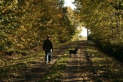 Herbststimmung 2008