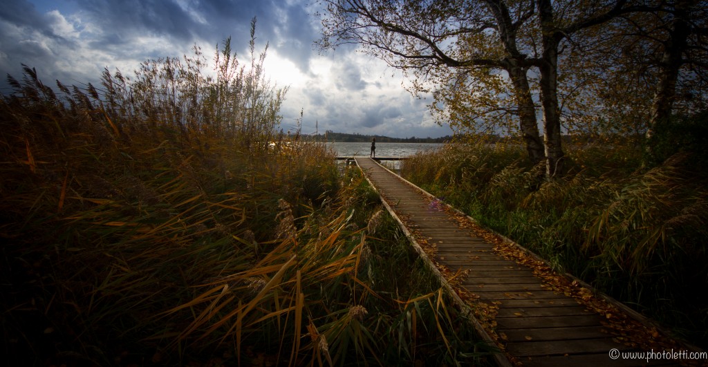 Herbststimmung 2013