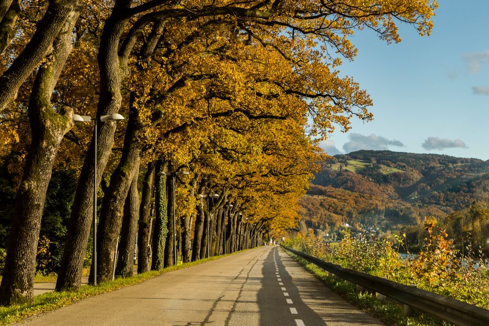 Herbststimmung