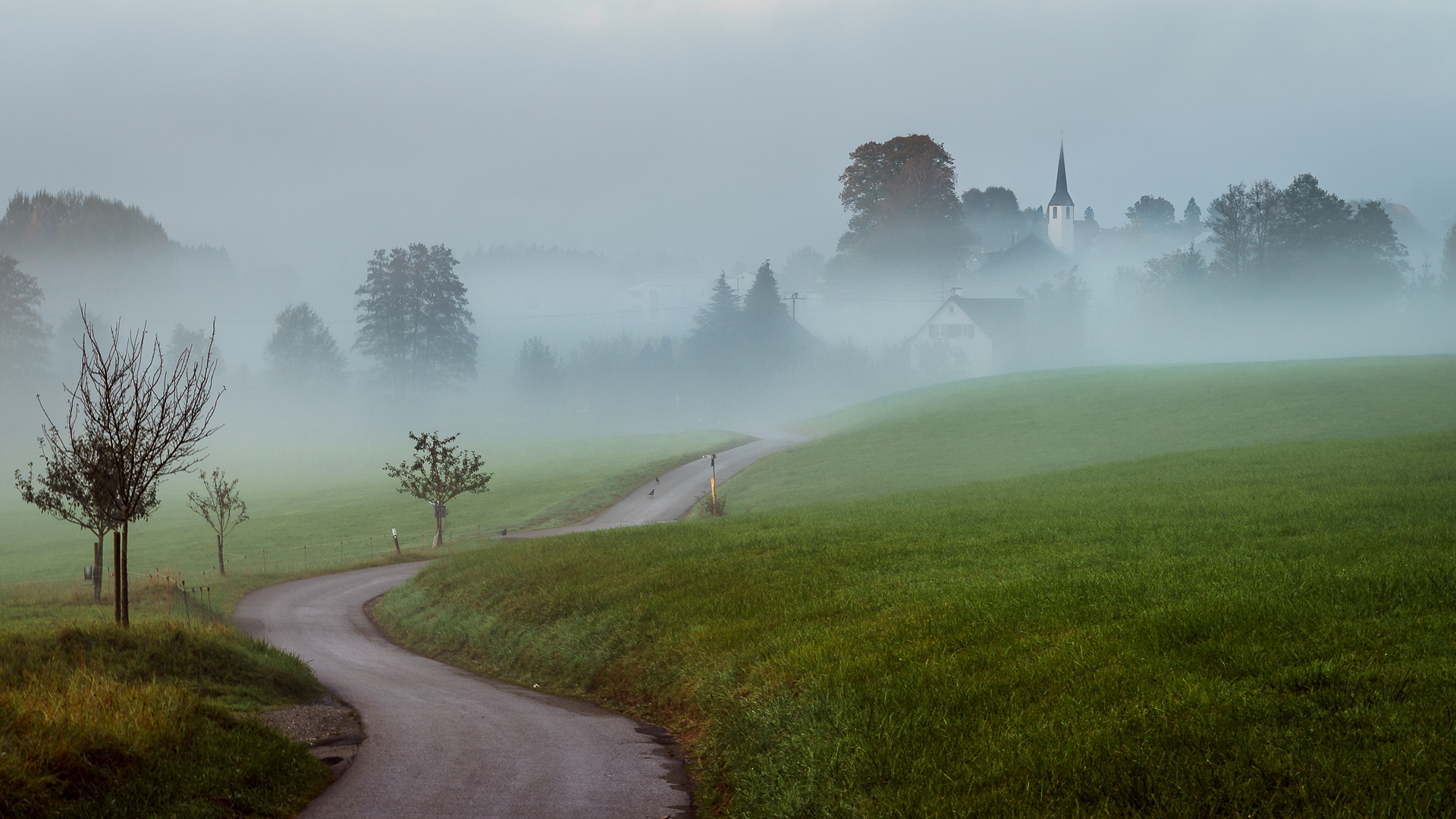 Herbststimmung