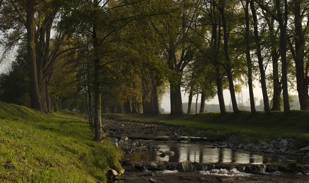 Herbststimmung