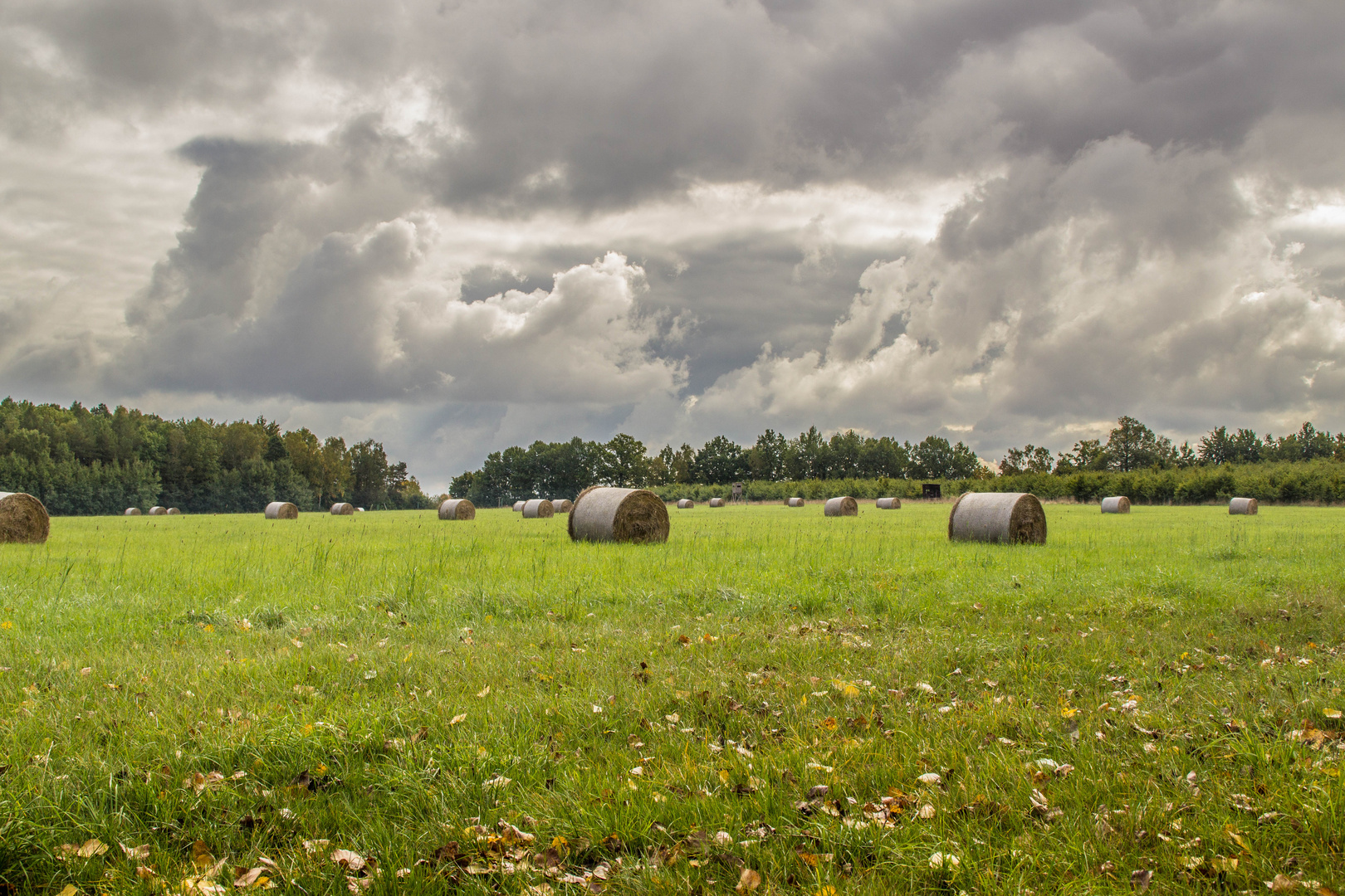 Herbststimmung