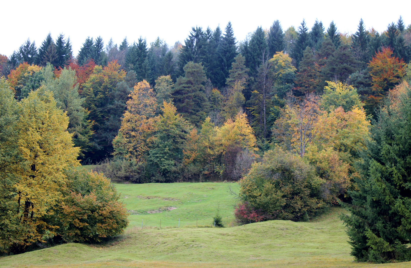 Herbststimmung