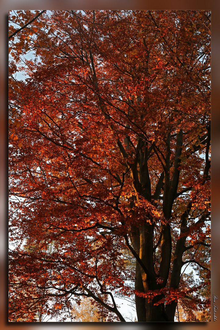 Herbststimmung