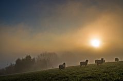 Herbststimmung