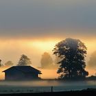 Herbststimmung