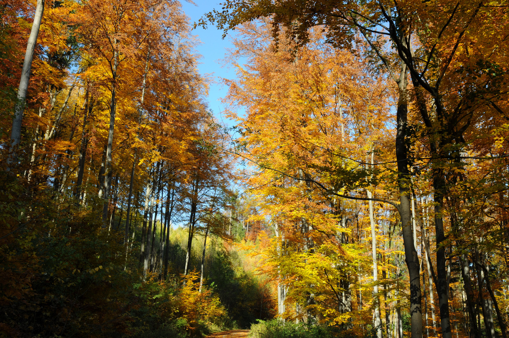 Herbststimmung