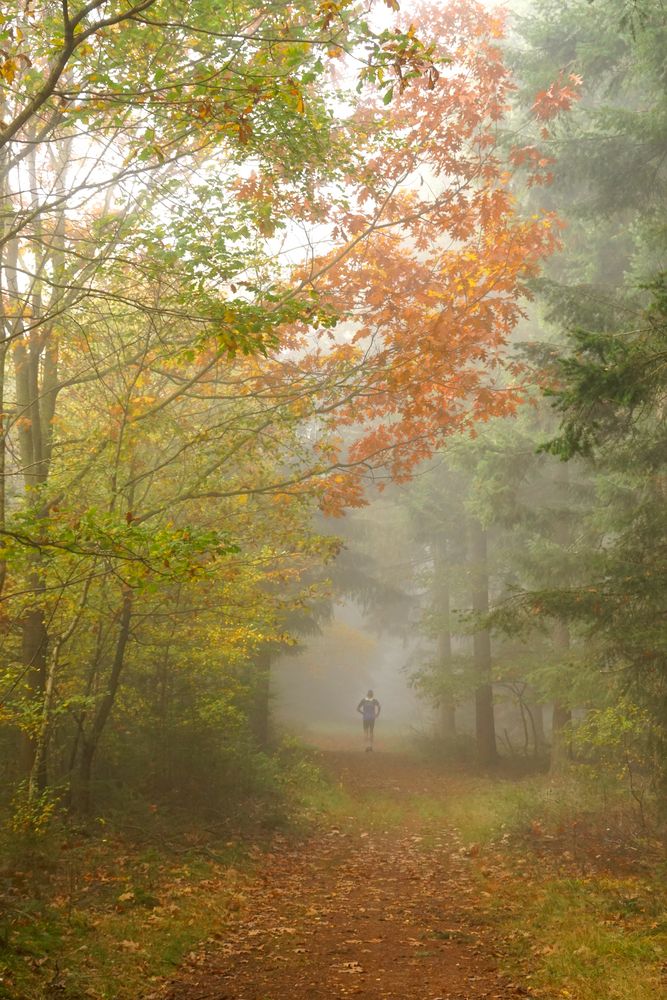 Herbststimmung 