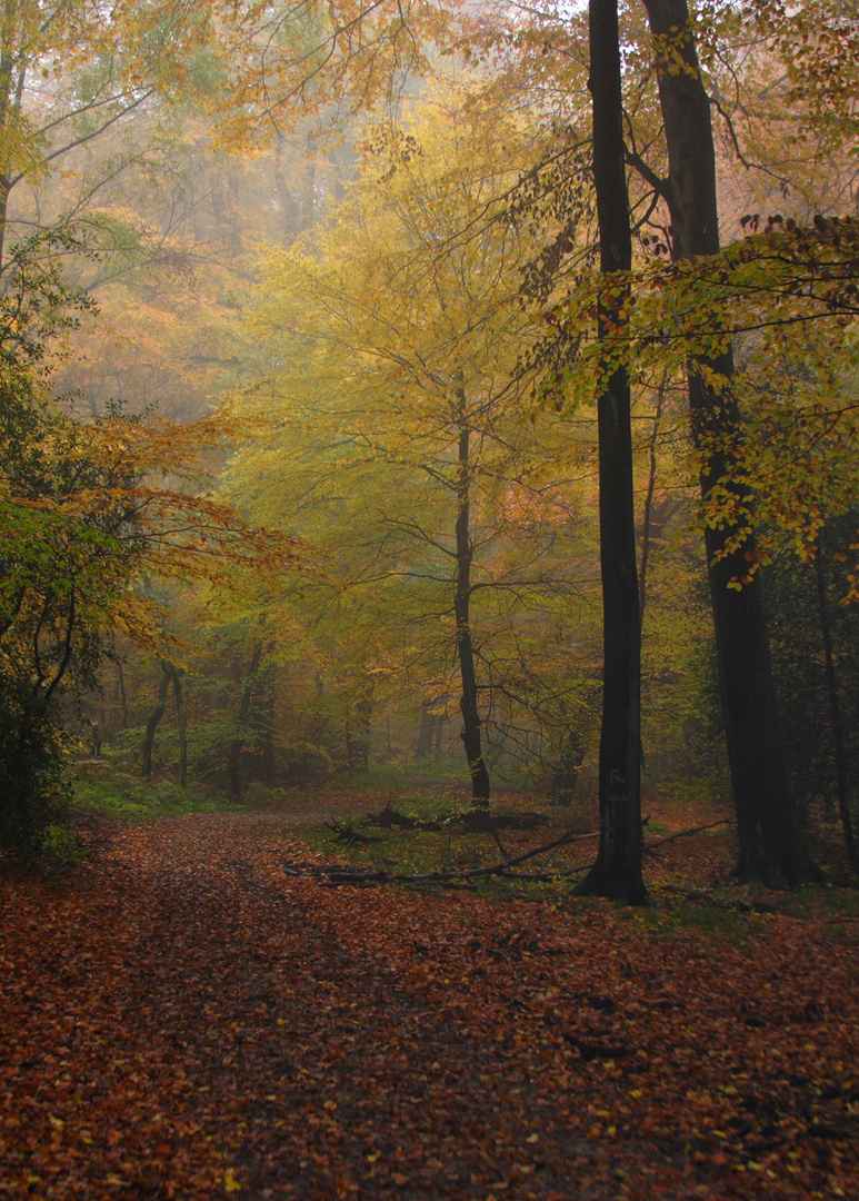 Herbststimmung