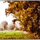 Herbststimmung