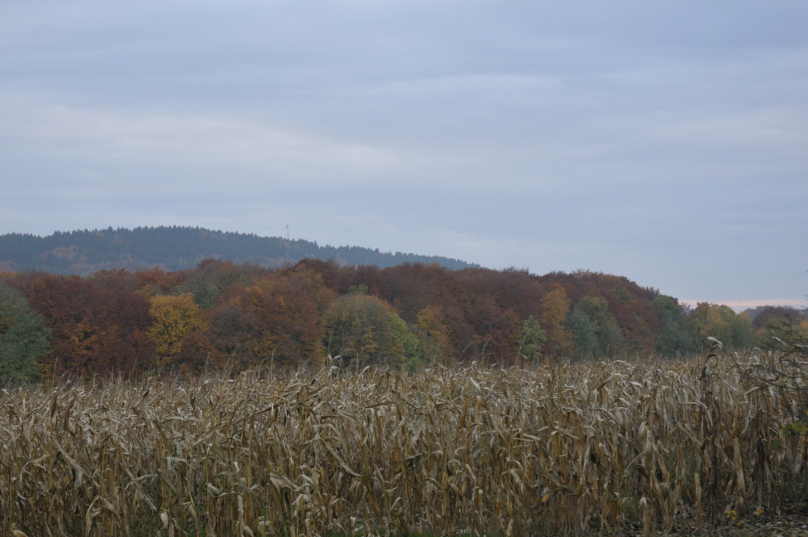 Herbststimmung