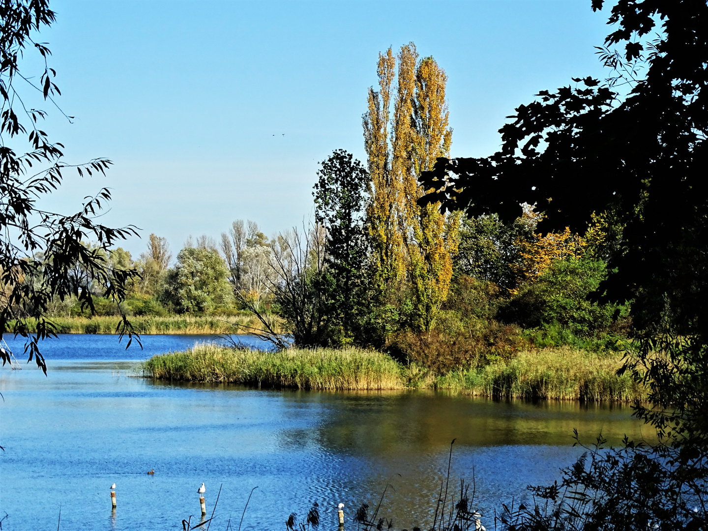 Herbststimmung