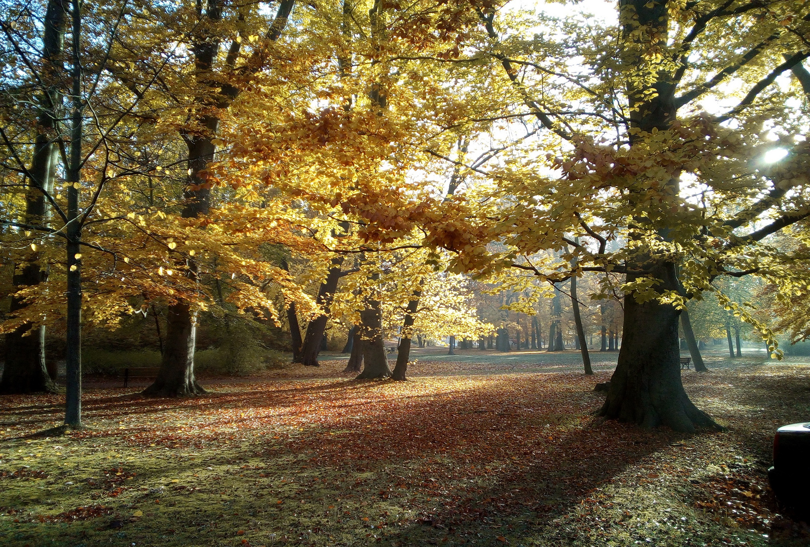 Herbststimmung 