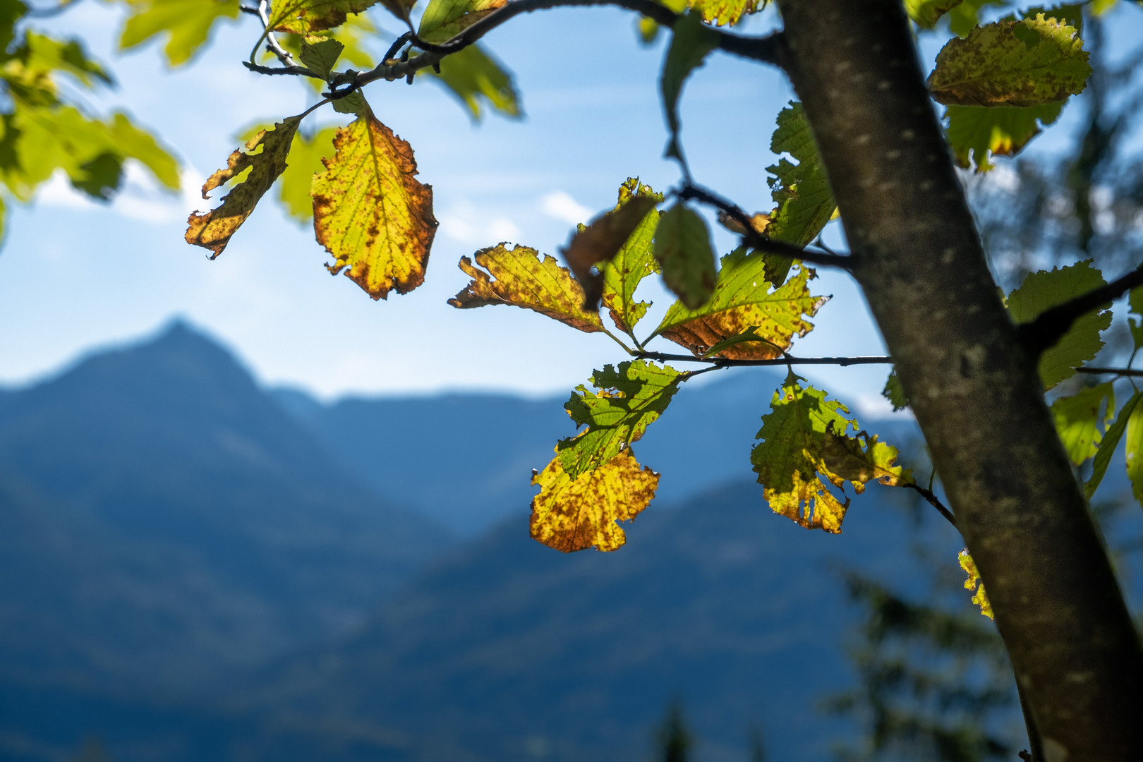 Herbststimmung