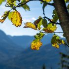 Herbststimmung