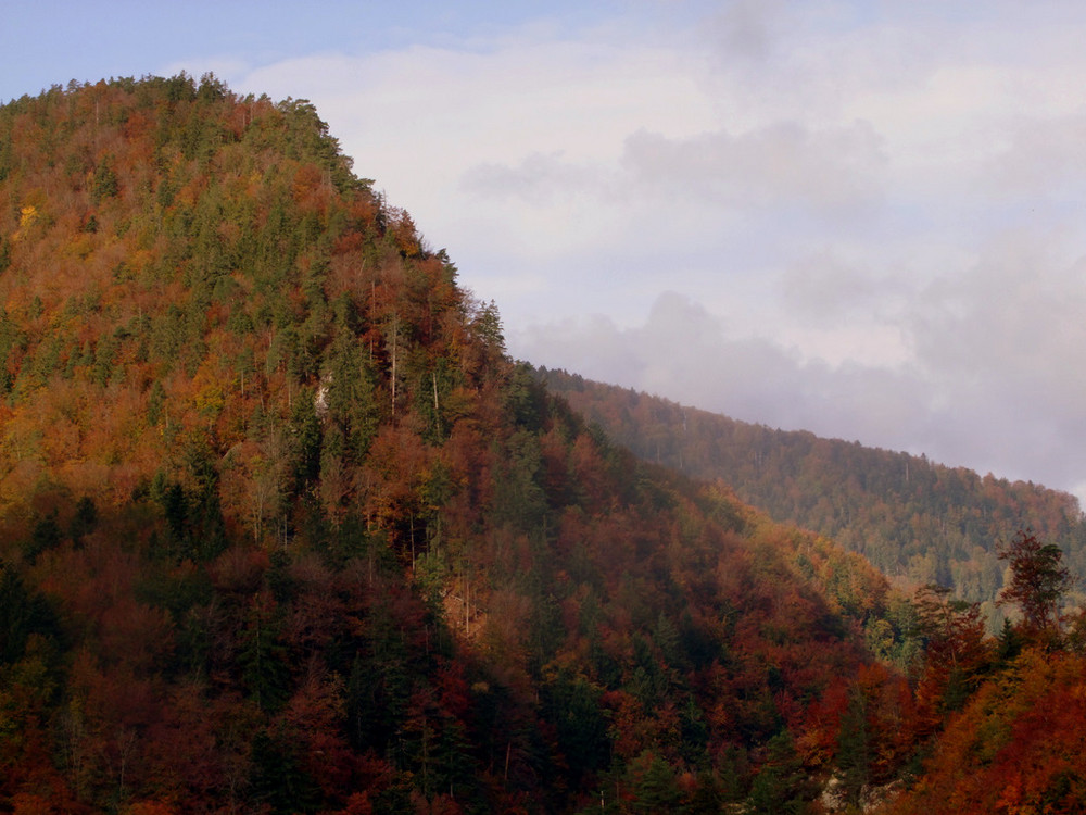 Herbststimmung