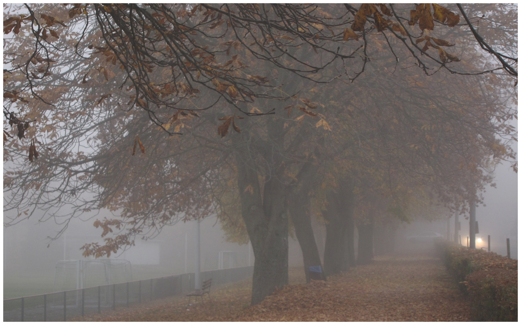 Herbststimmung