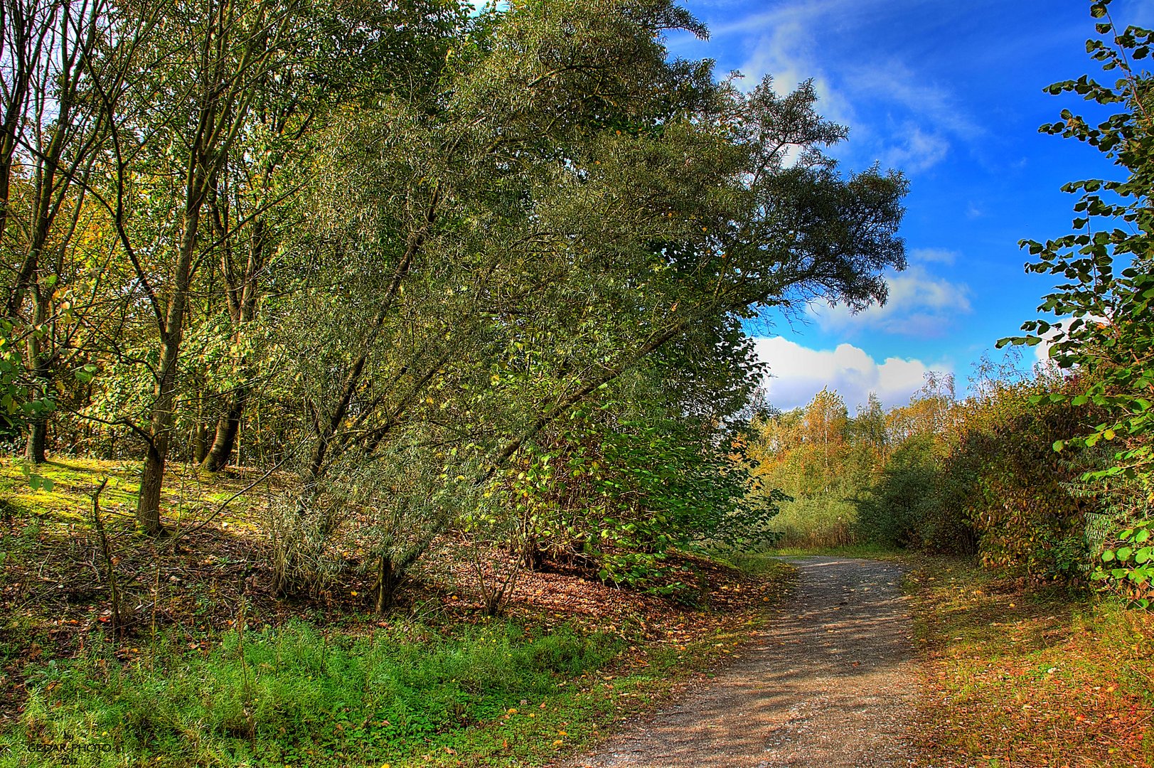 Herbststimmung....