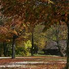 Herbststimmung