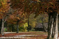 Herbststimmung