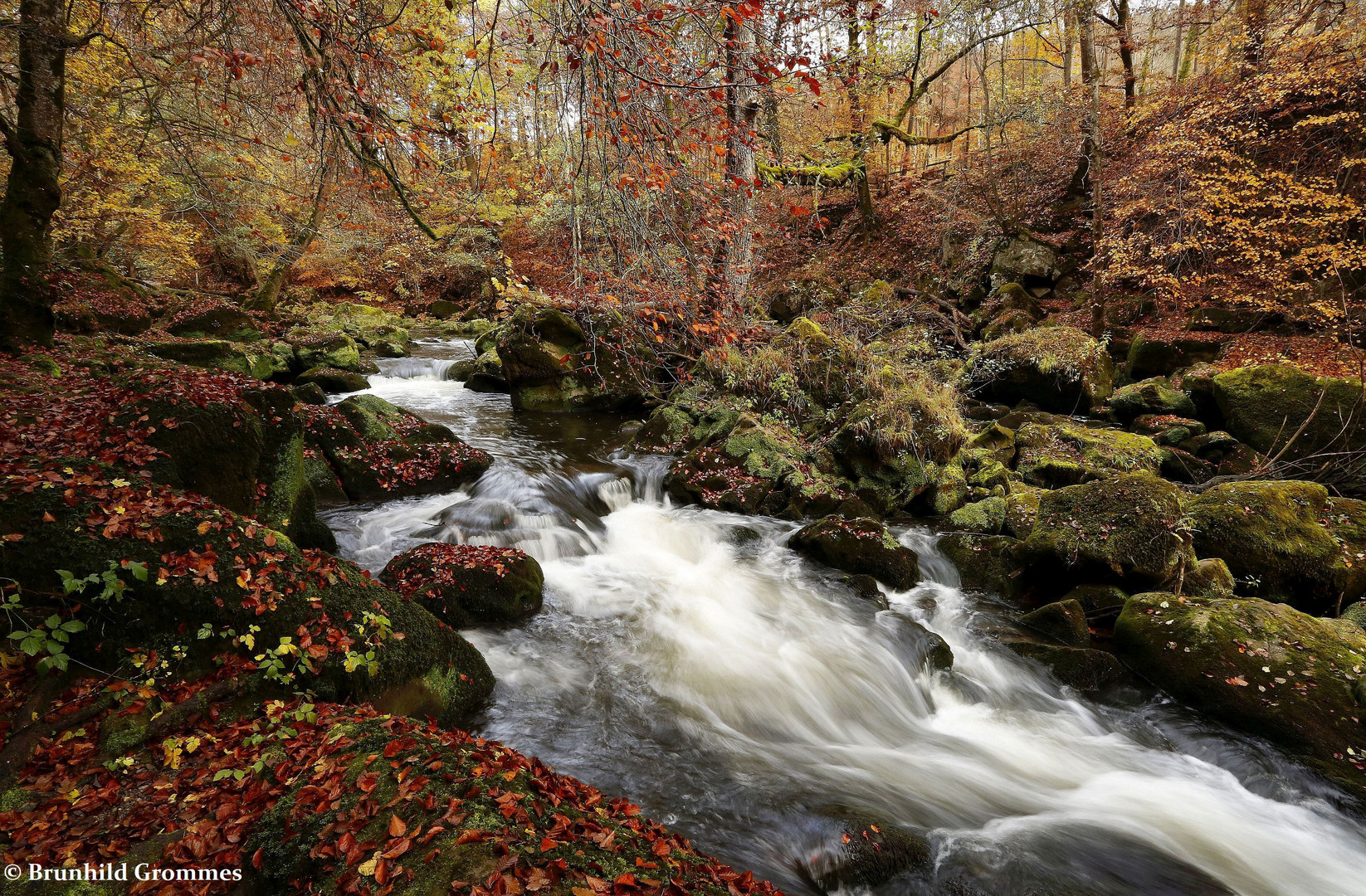 Herbststimmung