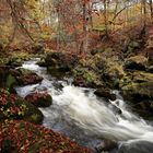 Herbststimmung