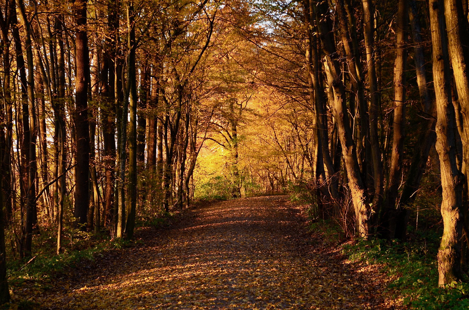 Herbststimmung