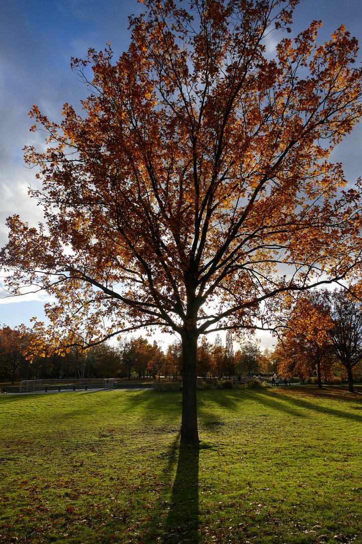 Herbststimmung