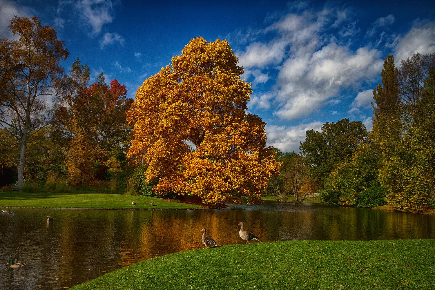 Herbststimmung