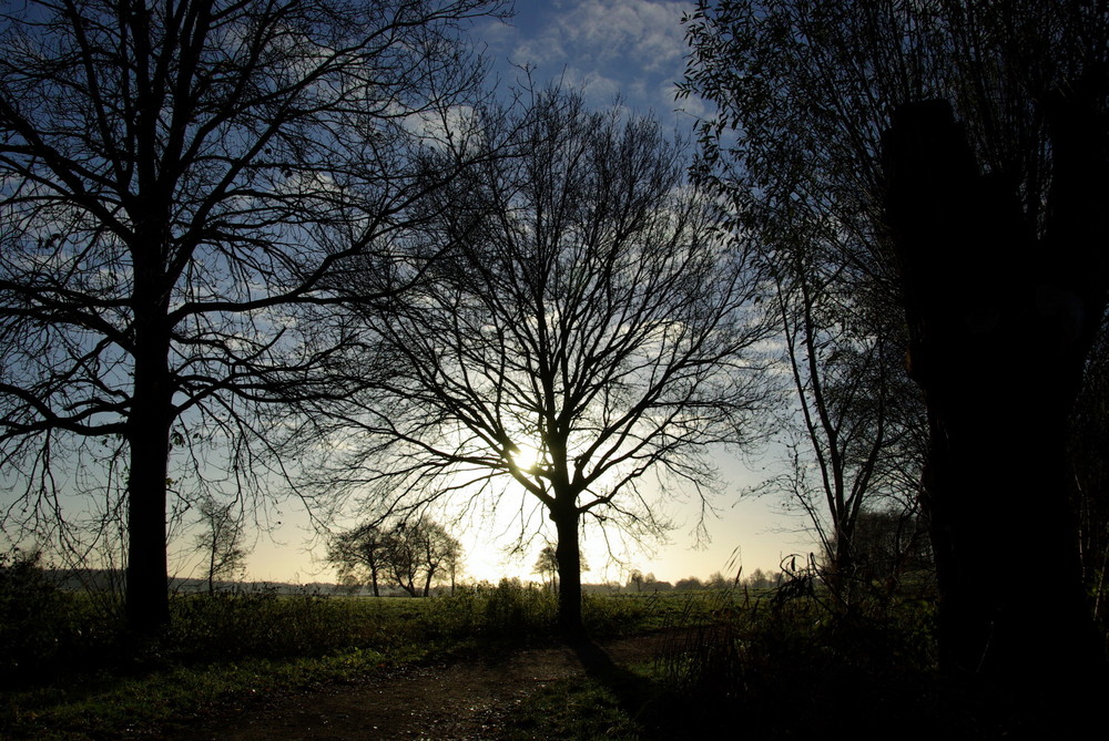 Herbststimmung