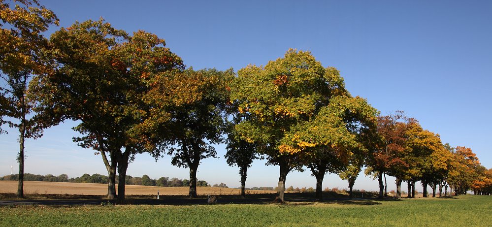 Herbststimmung 3