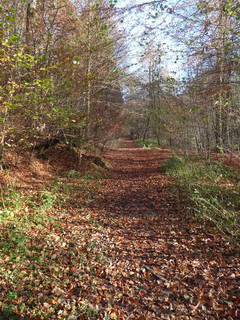 Herbststimmung 3