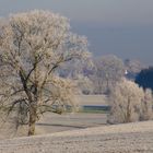 Herbststimmung 3