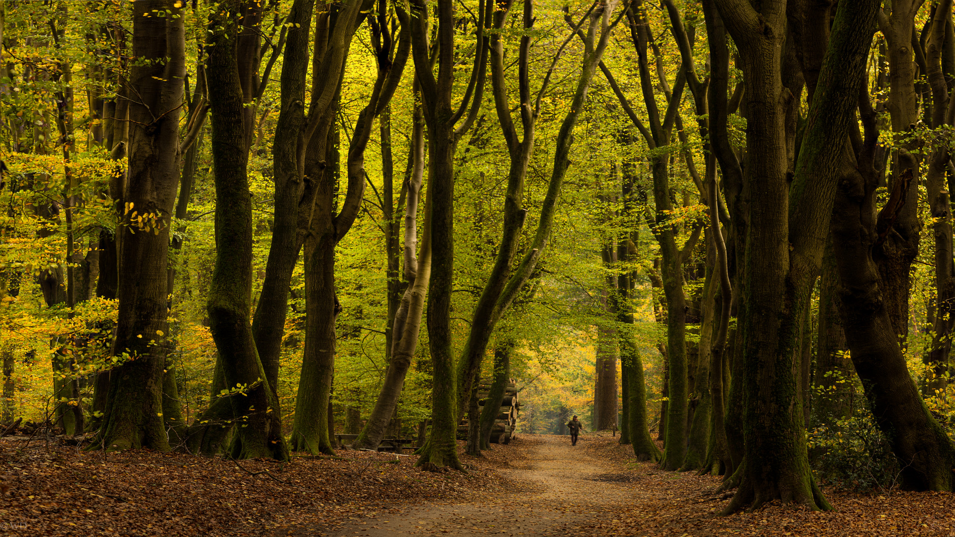 Herbststimmung 3