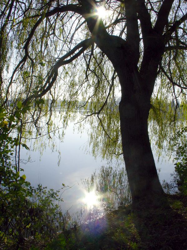 Herbststimmung