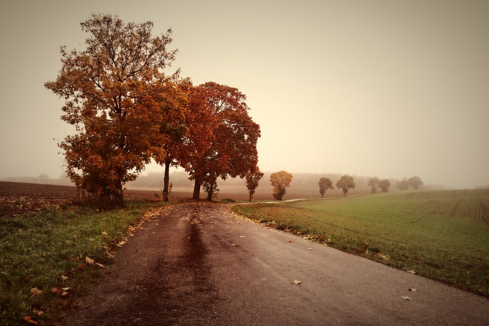 Herbststimmung... 