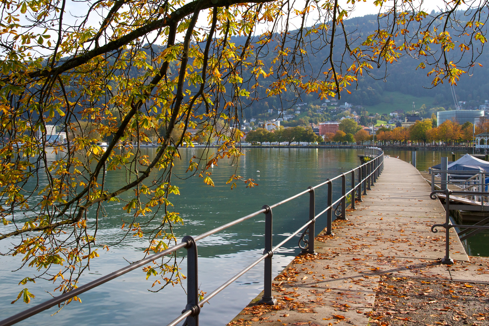 Herbststimmung