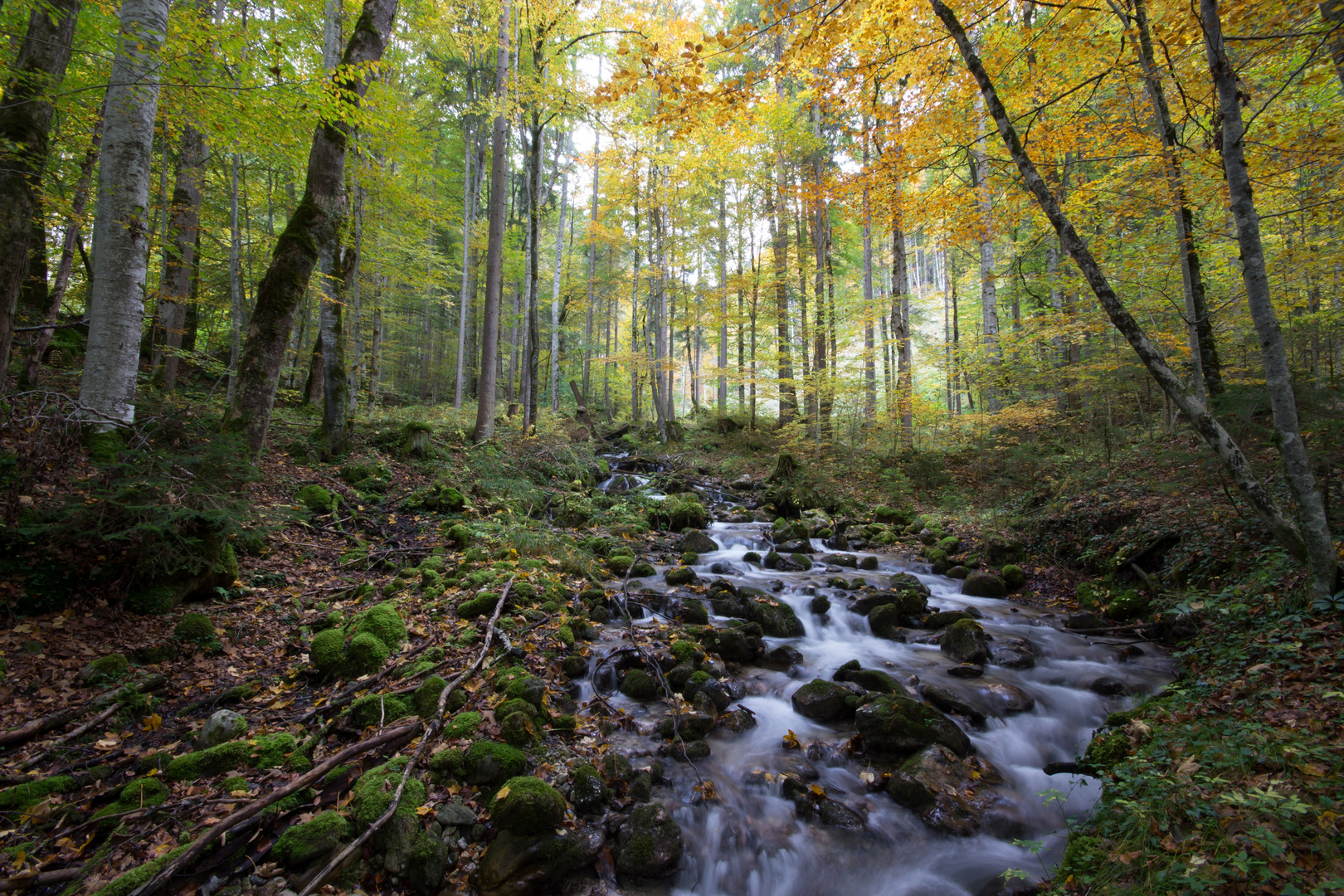 Herbststimmung